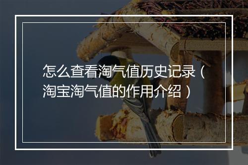 怎么查看淘气值历史记录（淘宝淘气值的作用介绍）