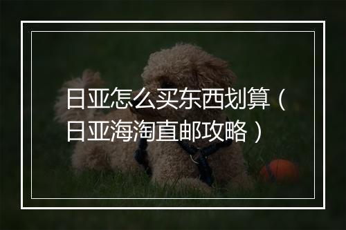 日亚怎么买东西划算（日亚海淘直邮攻略）