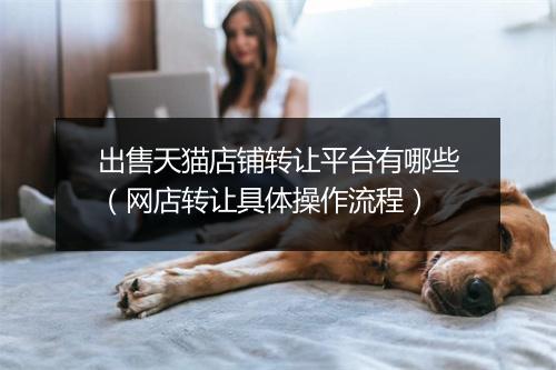 出售天猫店铺转让平台有哪些（网店转让具体操作流程）