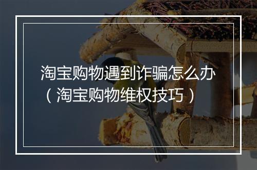 淘宝购物遇到诈骗怎么办（淘宝购物维权技巧）