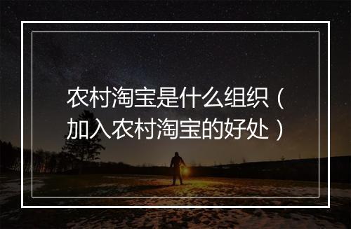 农村淘宝是什么组织（加入农村淘宝的好处）