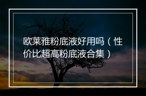 欧莱雅粉底液好用吗（性价比超高粉底液合集）