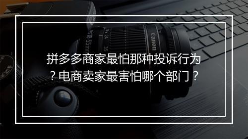拼多多商家最怕那种投诉行为？电商卖家最害怕哪个部门？