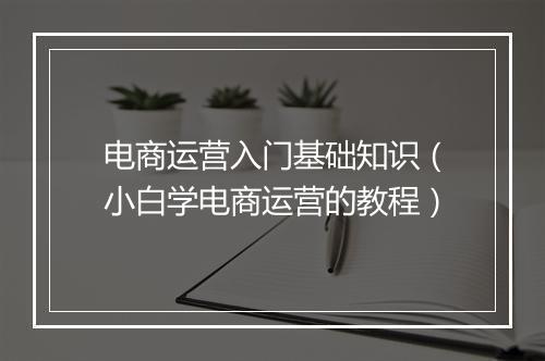 电商运营入门基础知识（小白学电商运营的教程）
