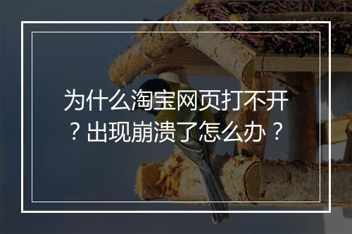为什么淘宝网页打不开？出现崩溃了怎么办？