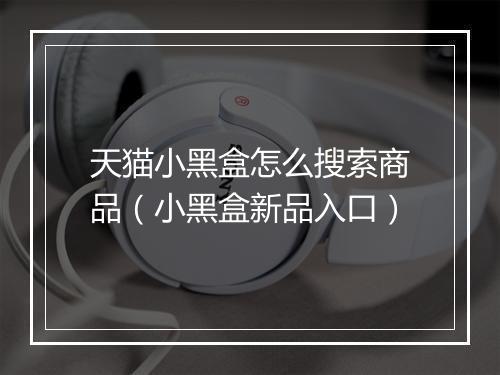 天猫小黑盒怎么搜索商品（小黑盒新品入口）