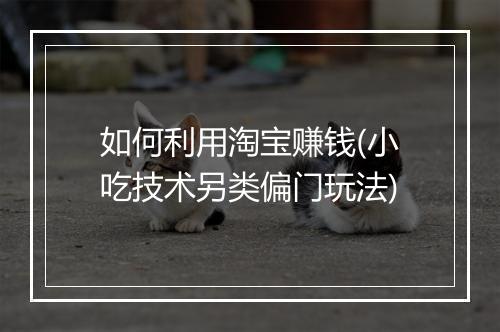 如何利用淘宝赚钱(小吃技术另类偏门玩法)