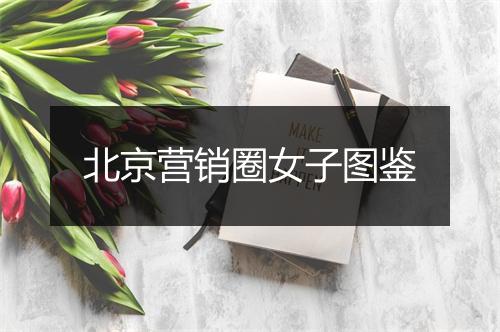 北京营销圈女子图鉴