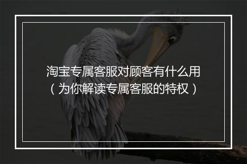 淘宝专属客服对顾客有什么用（为你解读专属客服的特权）