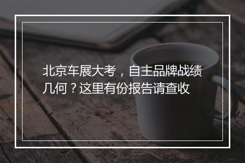 北京车展大考，自主品牌战绩几何？这里有份报告请查收