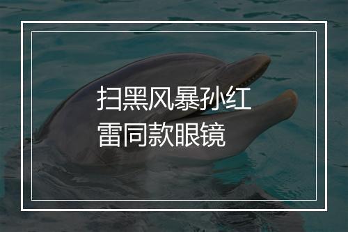 扫黑风暴孙红雷同款眼镜
