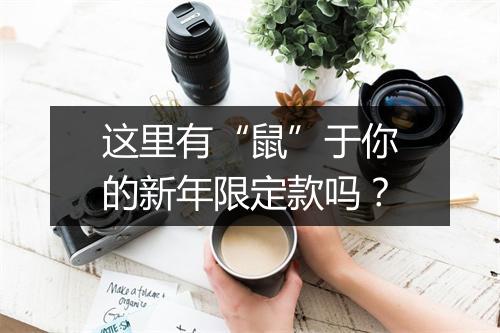 这里有“鼠”于你的新年限定款吗？