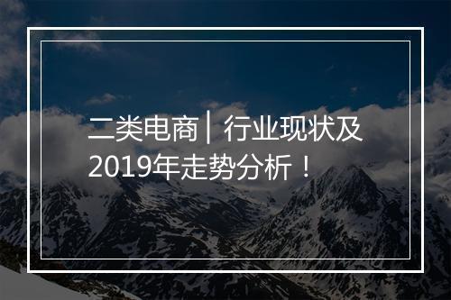 二类电商 ▏行业现状及2019年走势分析！