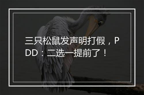 三只松鼠发声明打假，PDD：二选一提前了！