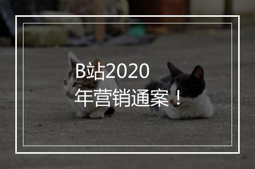 B站2020年营销通案！