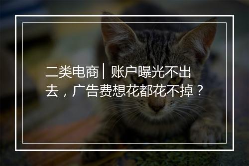 二类电商 ▏账户曝光不出去，广告费想花都花不掉？