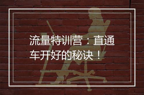 流量特训营：直通车开好的秘诀！