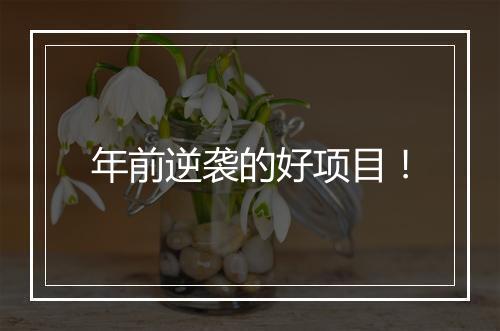 年前逆袭的好项目！