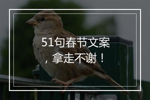 51句春节文案，拿走不谢！