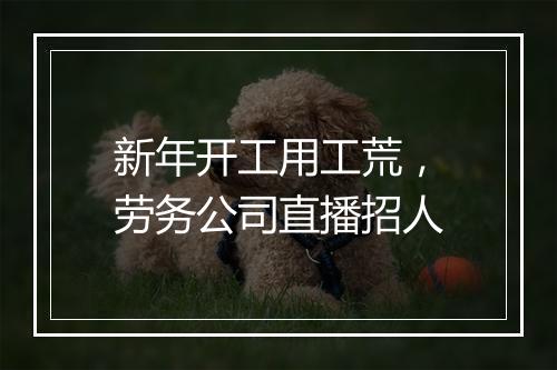 新年开工用工荒，劳务公司直播招人