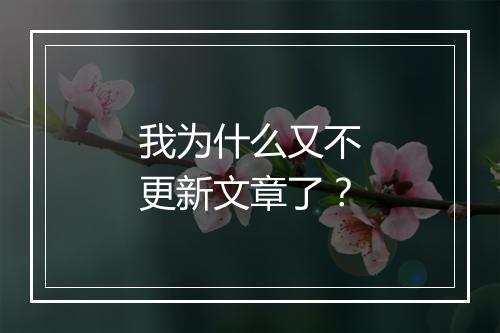 我为什么又不更新文章了？