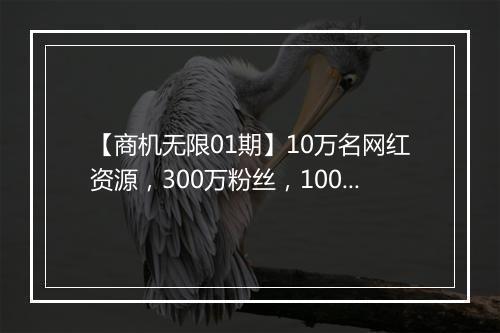【商机无限01期】10万名网红资源，300万粉丝，1000+亚马逊商品供应链渠道为你推荐