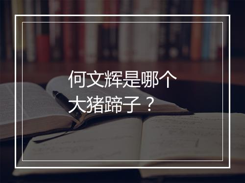 何文辉是哪个大猪蹄子？