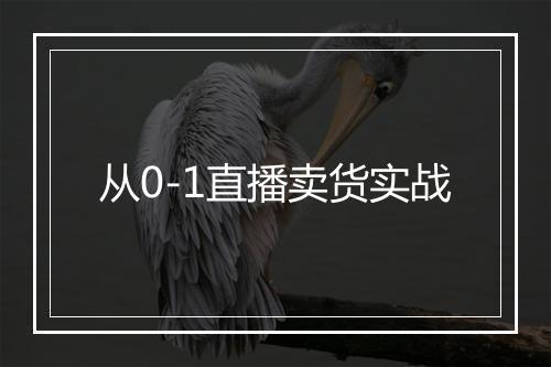 从0-1直播卖货实战