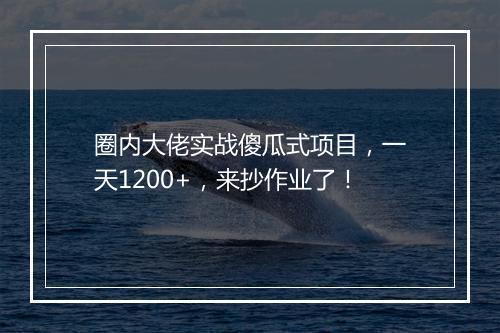 圈内大佬实战傻瓜式项目，一天1200+，来抄作业了！