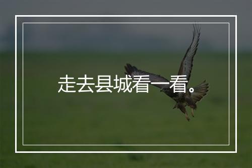 走去县城看一看。
