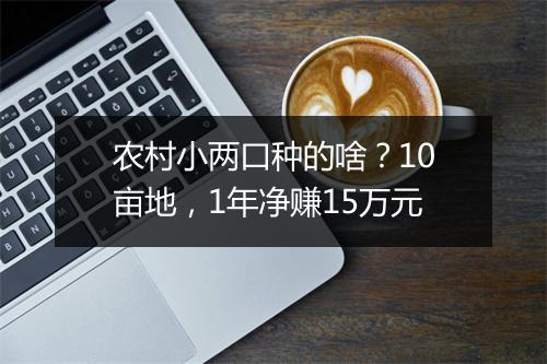 农村小两口种的啥？10亩地，1年净赚15万元
