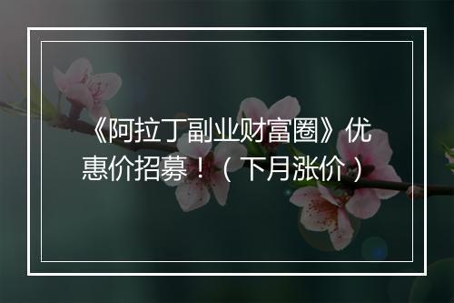 《阿拉丁副业财富圈》优惠价招募！（下月涨价）