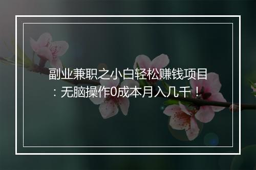 副业兼职之小白轻松赚钱项目：无脑操作0成本月入几千！