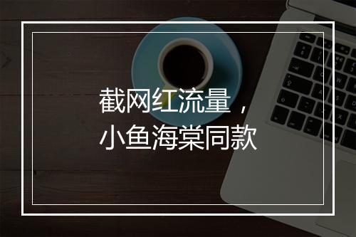 截网红流量，小鱼海棠同款