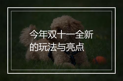今年双十一全新的玩法与亮点