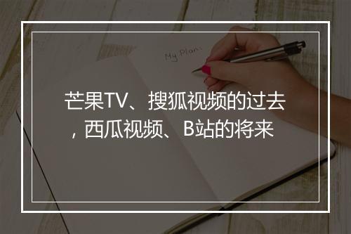 芒果TV、搜狐视频的过去，西瓜视频、B站的将来