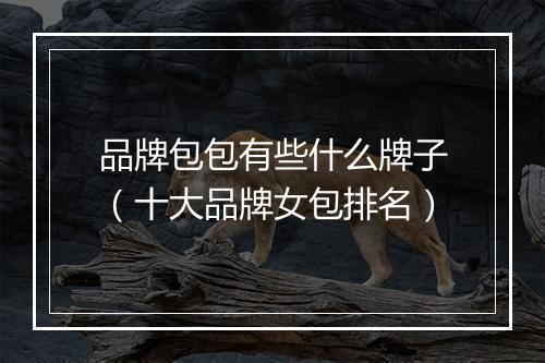 品牌包包有些什么牌子（十大品牌女包排名）