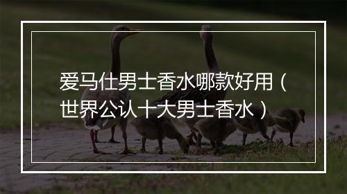 爱马仕男士香水哪款好用（世界公认十大男士香水）
