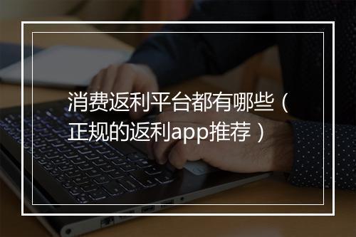 消费返利平台都有哪些（正规的返利app推荐）