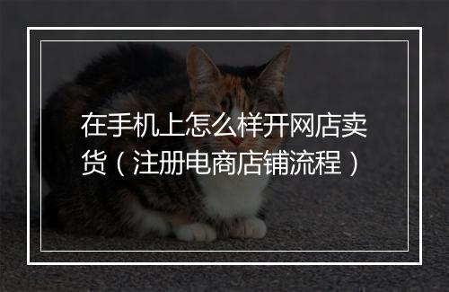 在手机上怎么样开网店卖货（注册电商店铺流程）