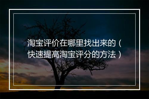 淘宝评价在哪里找出来的（快速提高淘宝评分的方法）