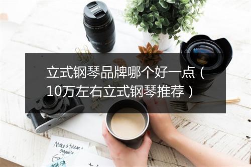 立式钢琴品牌哪个好一点（10万左右立式钢琴推荐）