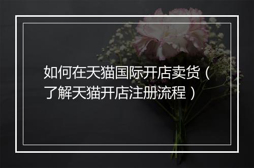 如何在天猫国际开店卖货（了解天猫开店注册流程）