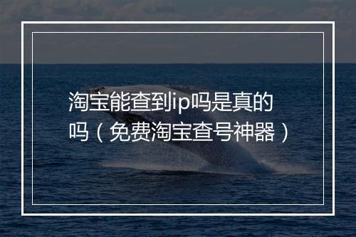 淘宝能查到ip吗是真的吗（免费淘宝查号神器）