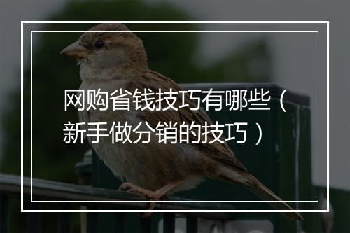 网购省钱技巧有哪些（新手做分销的技巧）