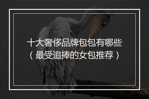十大奢侈品牌包包有哪些（最受追捧的女包推荐）