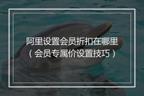 阿里设置会员折扣在哪里（会员专属价设置技巧）