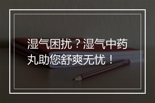 湿气困扰？湿气中药丸助您舒爽无忧！