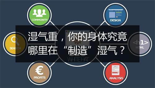 湿气重，你的身体究竟哪里在“制造”湿气？