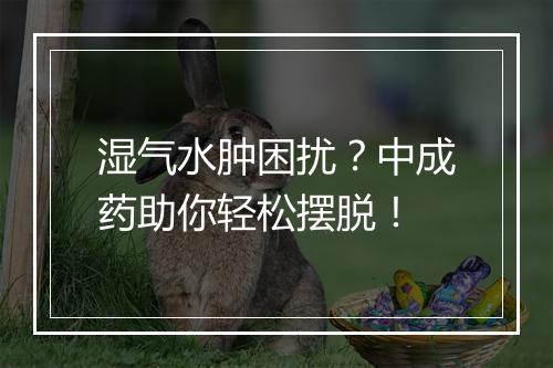 湿气水肿困扰？中成药助你轻松摆脱！